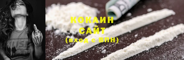 шишки Арсеньев