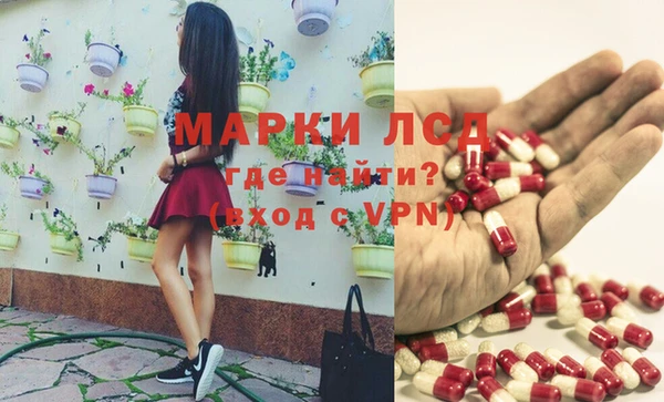 шишки Арсеньев
