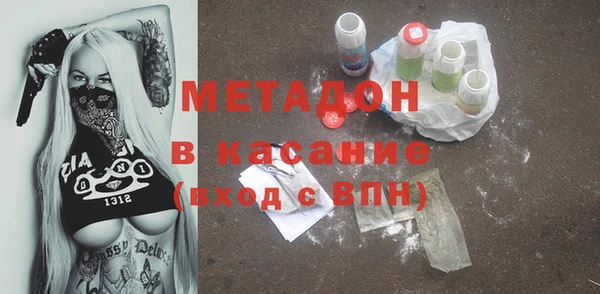 шишки Арсеньев