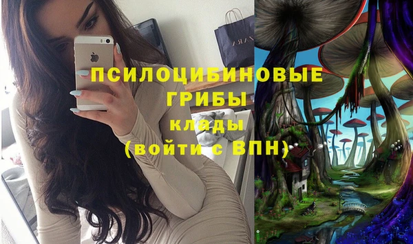 СК Алексин