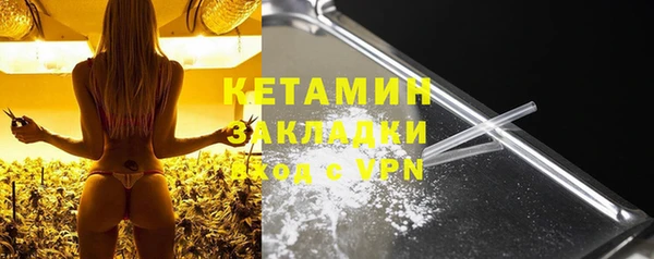 шишки Арсеньев