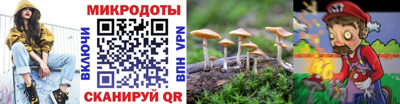 Галлюциногенные грибы GOLDEN TEACHER Волгодонск