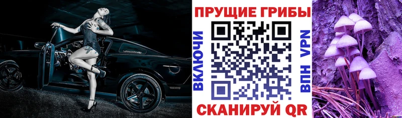 Галлюциногенные грибы мицелий  hydra tor  Волгодонск 